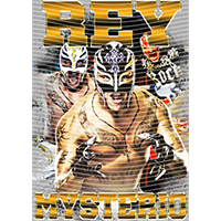 idol singer-GS  2433